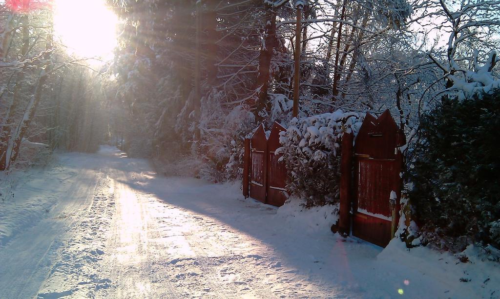 Norwegisches Holzhaus Βίλα Neuruppin Εξωτερικό φωτογραφία